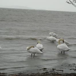 Erzsébet Szálloda Balatonőszöd, Balatonőszöd - Környék