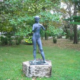 Erzsébet Szálloda Balatonőszöd, Balatonőszöd - Környék