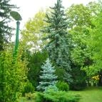 Erzsébet Szálloda Balatonőszöd Balatonőszöd - Környék