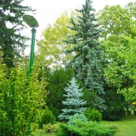 Erzsébet Szálloda Balatonőszöd, Balatonőszöd - Környék