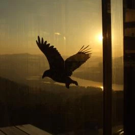 Silvanus Wellness & Konferencia Hotel Visegrád - Környék