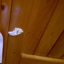 Park Hotel Harkany, Harkány - Egyéb