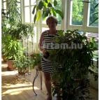 Park Hotel Harkany Harkány - Belső