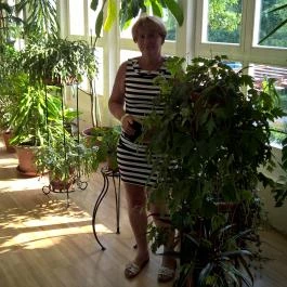 Park Hotel Harkany, Harkány - Belső