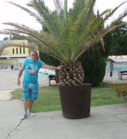 Harkányi Gyógy- és Strandfürdő