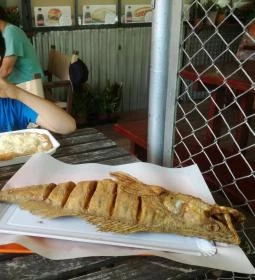 Jóbarátok halsütöde