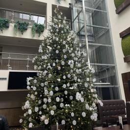 Wellness Hotel Katalin Gyenesdiás - Belső