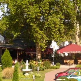 Ametiszt Hotel Harkány - Medence/kert