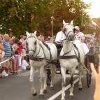Ametiszt Hotel Harkány - Környék