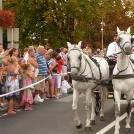 Ametiszt Hotel Harkány - Környék