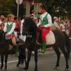 Ametiszt Hotel Harkány - Környék