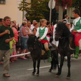 Ametiszt Hotel Harkány - Környék