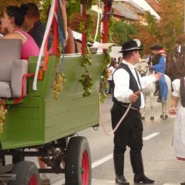 Ametiszt Hotel Harkány - Környék