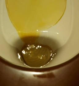 Pintér Tanya Panzió