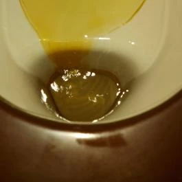 Pintér Tanya Panzió Erdőtelek - Egyéb