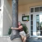 Hotel Platán Székesfehérvár Székesfehérvár - Egyéb