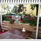 Tisch Vendégház Hajdúszoboszló - Medence/kert