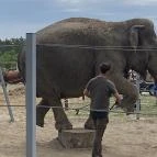 Richter Safari Park Nagykőrös - Külső kép