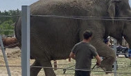 Richter Safari Park, Nagykőrös