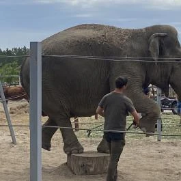 Richter Safari Park Nagykőrös - Külső kép