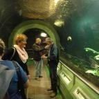 Fűzfa Hotel és Pihenőpark Poroszló - Szórakozás/Sport