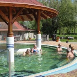 F?zfa Hotel és Pihen?park, Poroszló - Medence/kert