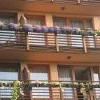 Silvanus Wellness & Konferencia Hotel Visegrád - Külső kép