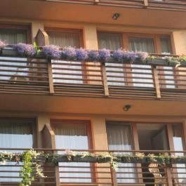 Silvanus Wellness & Konferencia Hotel Visegrád - Külső kép