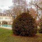 Batthyány Kastélyszálló Zalacsány - Medence/kert