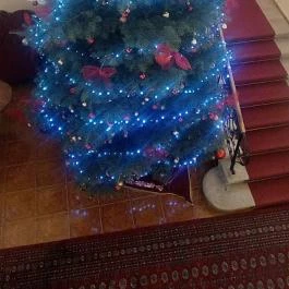 Batthyány Kastélyszálló Zalacsány - Belső