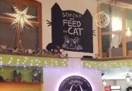 Whiskers Cat Pub Budapest