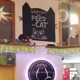 Whiskers Cat Pub Budapest - Külső kép