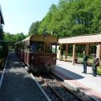 Szent Orbán Erdei Wellness Hotel Kóspallag - Környék