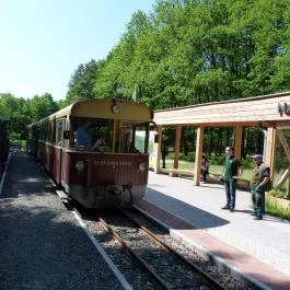 Szent Orbán Erdei Wellness Hotel Kóspallag - Környék