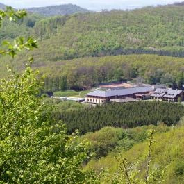Szent Orbán Erdei Wellness Hotel Kóspallag - Környék