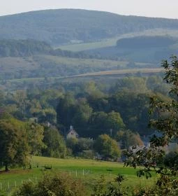 Vadszőlő Szálló étterme