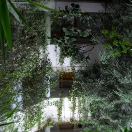 MenDan Magic Spa & Wellness Hotel, Zalakaros - Belső