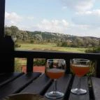 Kaktusz Villa Hévíz - Környék