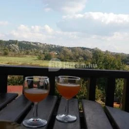 Kaktusz Villa, Hévíz - Környék