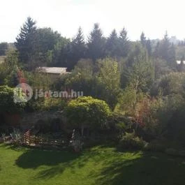 Kaktusz Villa, Hévíz - Környék