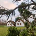 Club Dobogómajor Cserszegtomaj - Egyéb