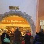 Park Hotel Harkany Harkány - Belső