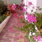 Bánvölgye Vendégház Bánhorváti - Környék