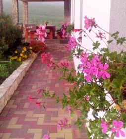 Bánvölgye Vendégház