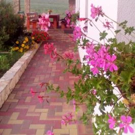 Bánvölgye Vendégház Bánhorváti - Környék