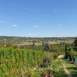 Árpád Borozó Hévíz - Egyéb