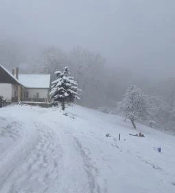 Ágasvári Turistaház Büféje