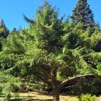 Agostyáni Arborétum Agostyán - Külső kép