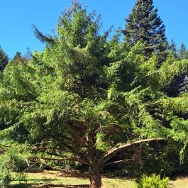 Agostyáni Arborétum, Agostyán - Külső kép