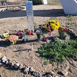 Áldó Jézus szobor Dabas - Egyéb